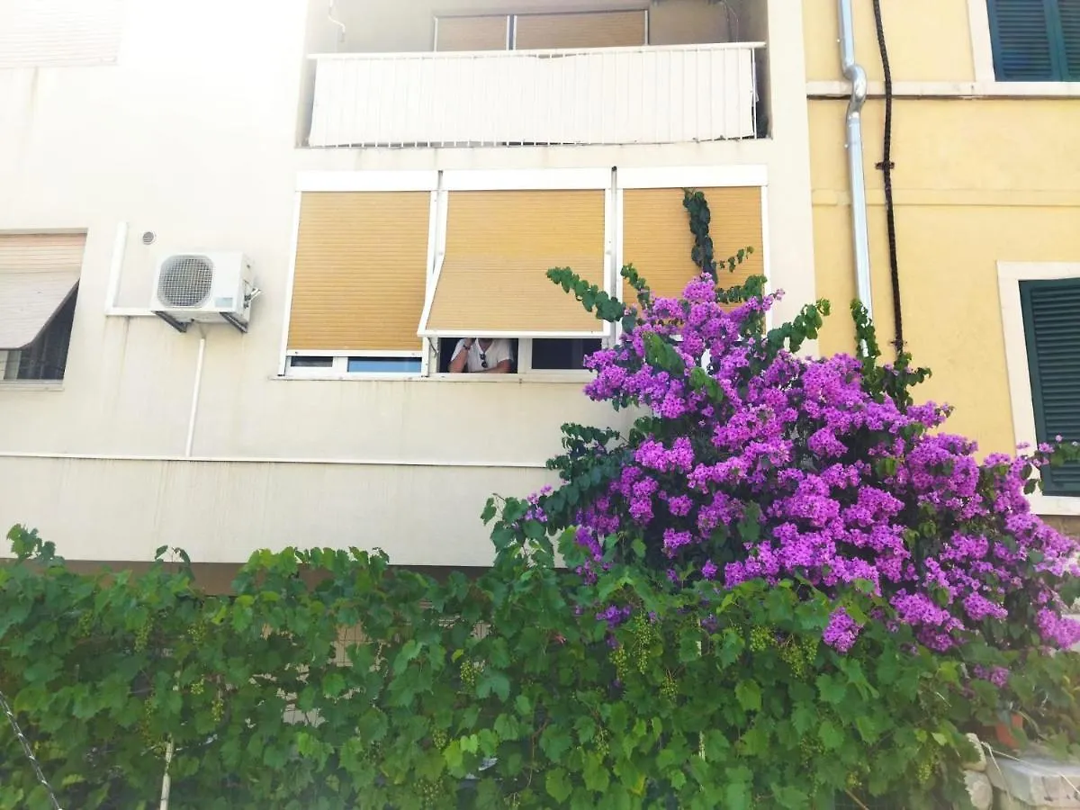 Apartments Lucac Manus